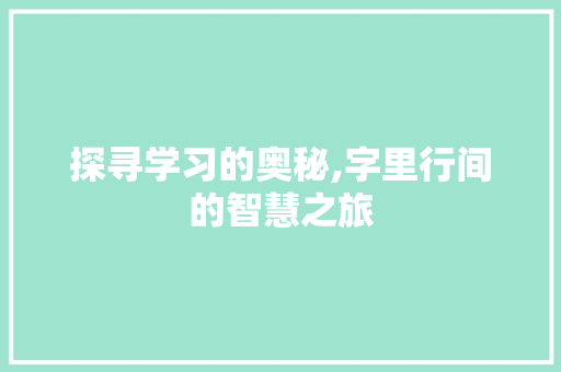 探寻学习的奥秘,字里行间的智慧之旅