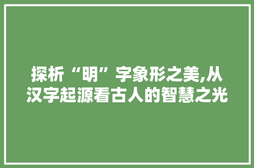 探析“明”字象形之美,从汉字起源看古人的智慧之光