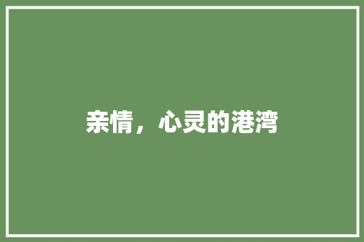 亲情,心灵的港湾