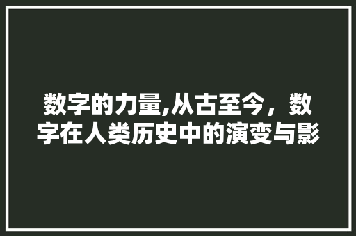数字的力量,从古至今,数字在人类历史中的演变与影响