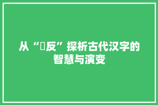 从“嚭反”探析古代汉字的智慧与演变