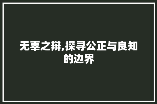 无辜之辩,探寻公正与良知的边界  第1张