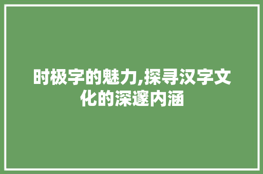 时极字的魅力,探寻汉字文化的深邃内涵
