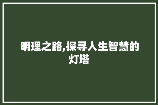 明理之路,探寻人生智慧的灯塔