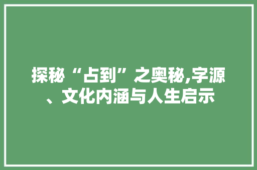 探秘“占到”之奥秘,字源、文化内涵与人生启示