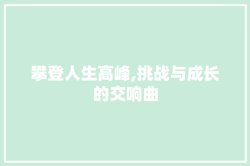 攀登人生高峰,挑战与成长的交响曲