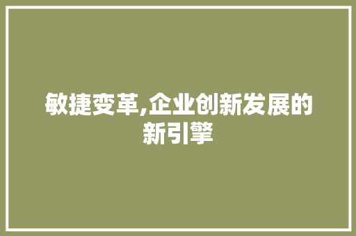 敏捷变革,企业创新发展的新引擎