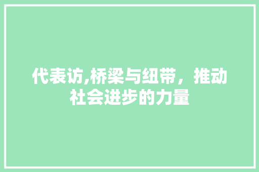 代表访,桥梁与纽带,推动社会进步的力量