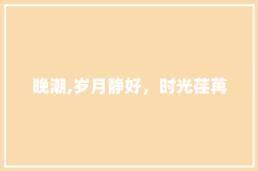 晚潮,岁月静好，时光荏苒