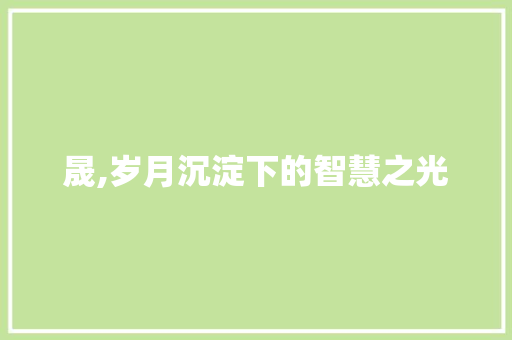 晟,岁月沉淀下的智慧之光