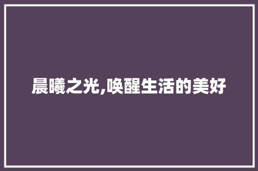 晨曦之光,唤醒生活的美好