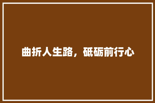 曲折人生路，砥砺前行心