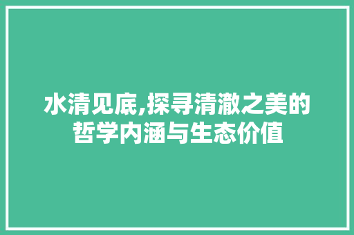 水清见底,探寻清澈之美的哲学内涵与生态价值