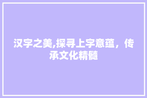 汉字之美,探寻上字意蕴，传承文化精髓