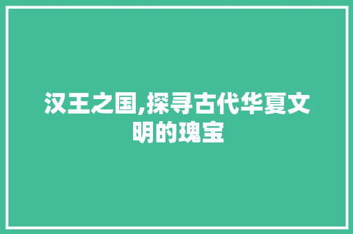汉王之国,探寻古代华夏文明的瑰宝