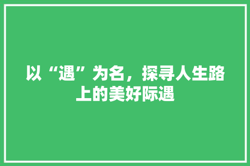 以“遇”为名,探寻人生路上的美好际遇
