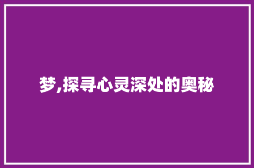 梦,探寻心灵深处的奥秘
