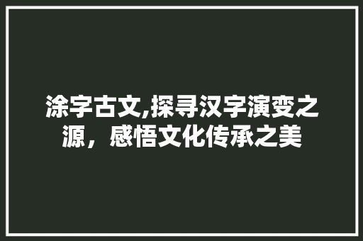 涂字古文,探寻汉字演变之源，感悟文化传承之美