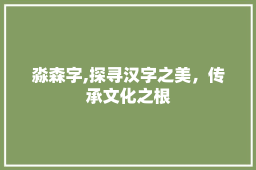 淼森字,探寻汉字之美，传承文化之根
