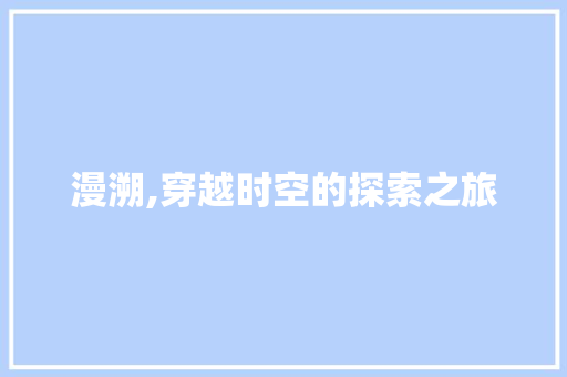 漫溯,穿越时空的探索之旅