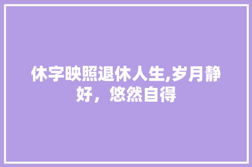 休字映照退休人生,岁月静好,悠然自得