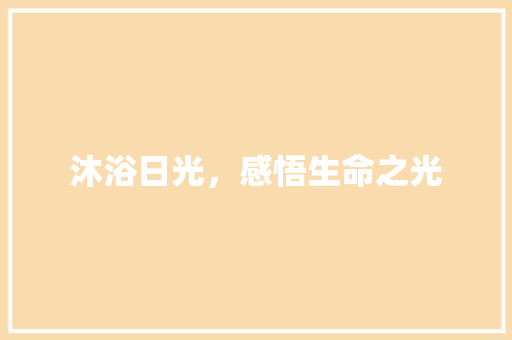 沐浴日光,感悟生命之光