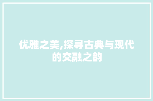 优雅之美,探寻古典与现代的交融之韵