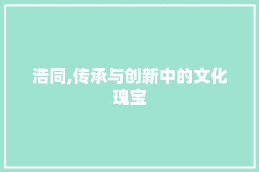 浩同,传承与创新中的文化瑰宝