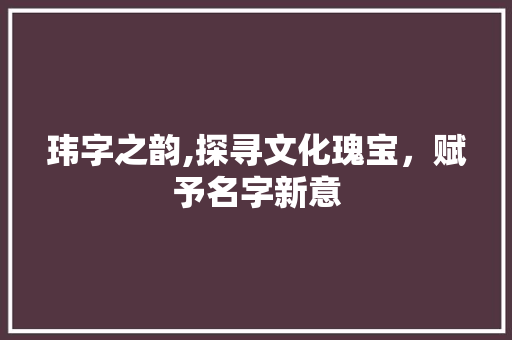 玮字之韵,探寻文化瑰宝,赋予名字新意