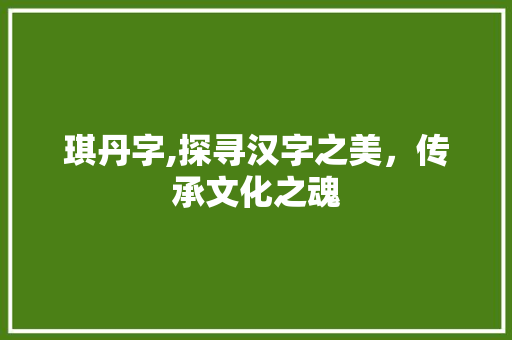 琪丹字,探寻汉字之美，传承文化之魂