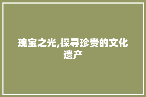 瑰宝之光,探寻珍贵的文化遗产