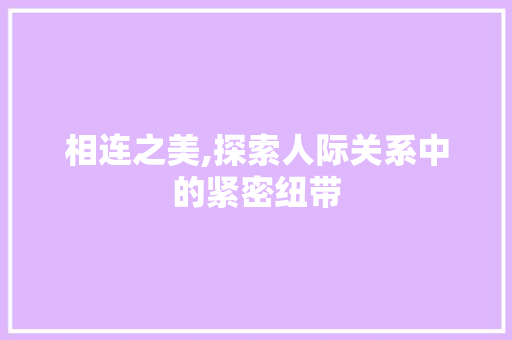 相连之美,探索人际关系中的紧密纽带