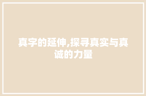 真字的延伸,探寻真实与真诚的力量