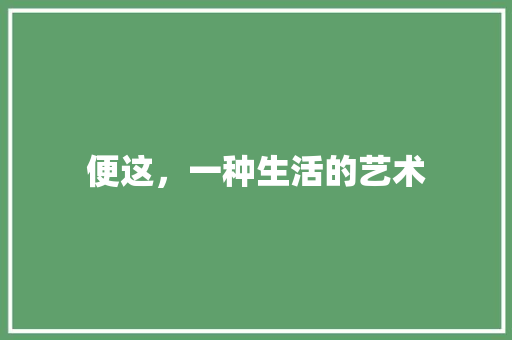 便这,一种生活的艺术