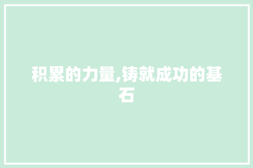 积累的力量,铸就成功的基石