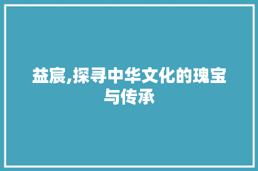 益宸,探寻中华文化的瑰宝与传承