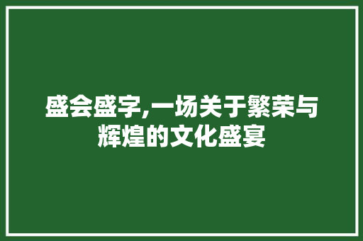 盛会盛字,一场关于繁荣与辉煌的文化盛宴