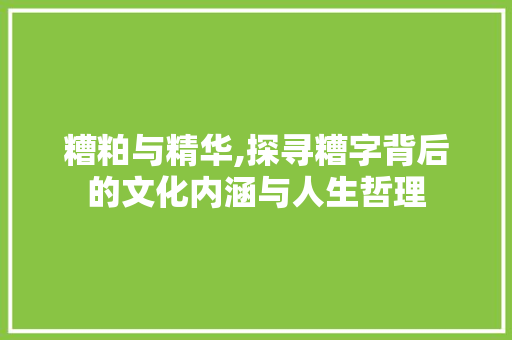 糟粕与精华,探寻糟字背后的文化内涵与人生哲理 第1张 糟粕与精华,探寻糟字背后的文化内涵与人生哲理 第1张