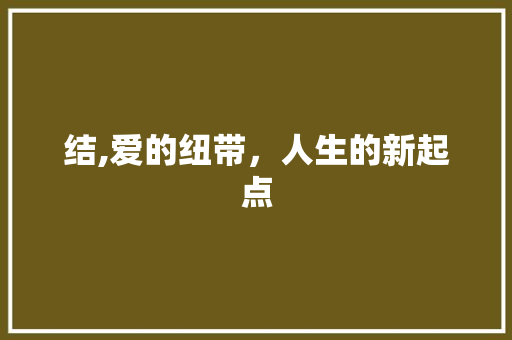 结,爱的纽带，人生的新起点