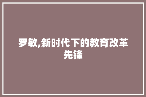 罗敏,新时代下的教育改革先锋