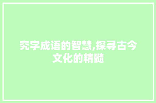 究字成语的智慧,探寻古今文化的精髓