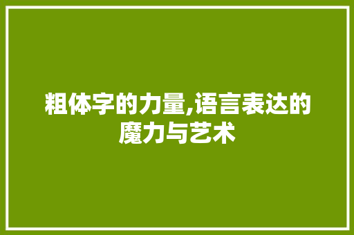 粗体字的力量,语言表达的魔力与艺术