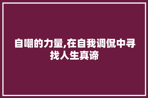 自嘲的力量,在自我调侃中寻找人生真谛