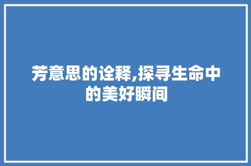 芳意思的诠释,探寻生命中的美好瞬间