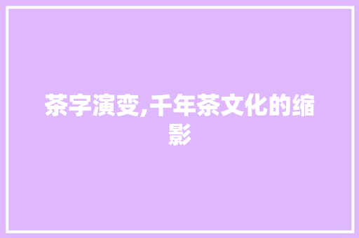 茶字演变,千年茶文化的缩影