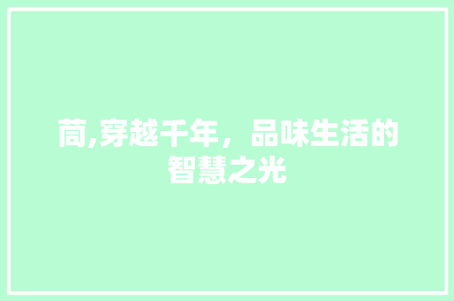 茼,穿越千年，品味生活的智慧之光