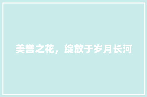 美誉之花，绽放于岁月长河