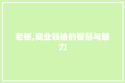 老板,商业领袖的智慧与魅力
