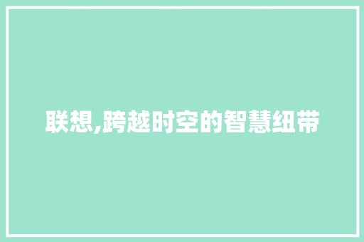 联想,跨越时空的智慧纽带