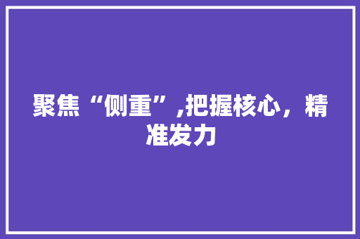 聚焦“侧重”,把握核心，精准发力